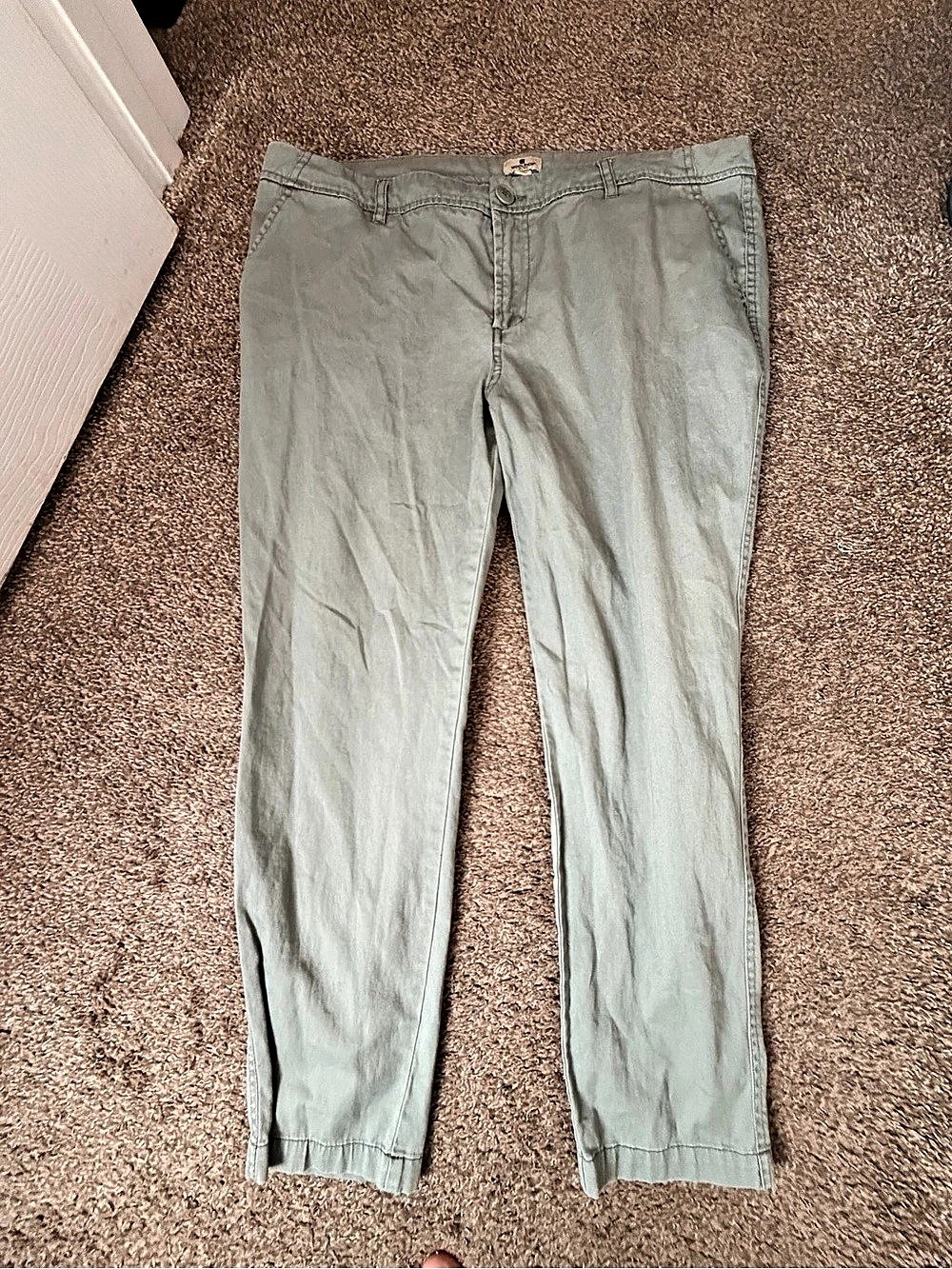 Woolrich Ankle Pants in Green Size 12